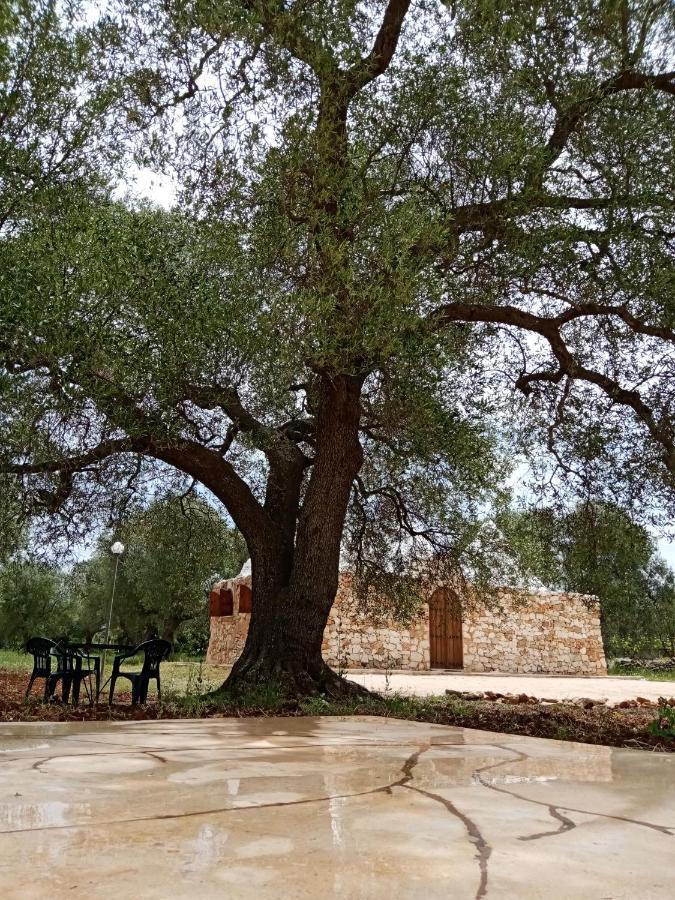 Вилла Trulli Monte Madre Сан-Вито-деи- Норманни Экстерьер фото